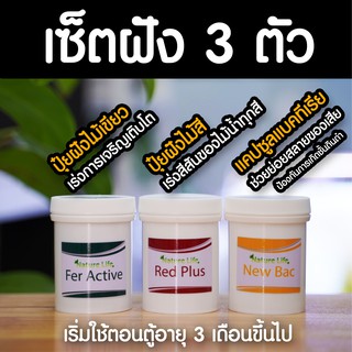 (พร้อมส่ง) เซ็ตฝัง 3 ตัว แบรนด์ Nature Life (ปุ๋ยฝังไม้เขียว ปุ๋ยฝังไม้สี แคปซูลแบคทีเรีย)