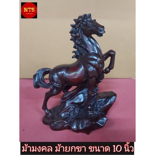 ม้ามงคล ม้ายกขา เรซิ่น