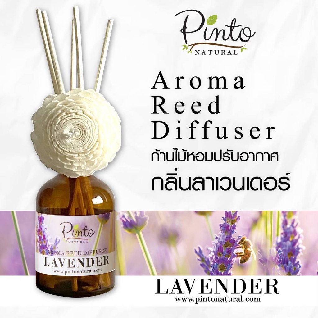 Pinto Natural Reed Diffuser Lavender ก้านไม้หอมปรับอากาศ กลิ่นลาเวนเดอร์ ขนาด 50ml. และ 100ml.