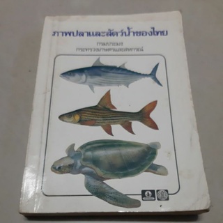 หนังสือสมุนไพร/ภาพปลา/ปลาน้ำจืด/ป่าเมืองไทย/ธรรมชาติศึกษา/ไม้ประดับ/ดอกไม้ป่า/ผลไม้/เมืองไทย/สัตว์น้ำ/น้ำตก/อาณาจักรพืช/