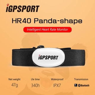 Igpsport HR40 เครื่องวัดอัตราการเต้นของหัวใจอัจฉริยะ สําหรับขี่จักรยาน และวิ่ง รองรับคอมพิวเตอร์