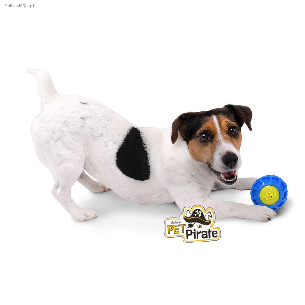จัดส่งเฉพาะจุด จัดส่งในกรุงเทพฯNerf Dog ของเล่นสุนัข กัดมีเสียง จับถนัด ลายลึก คาบอยู่ เคี้ยวมัน ของเล่นหมา ของเล่นบอลยา