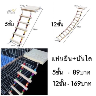 แท่นยืนพร้อมบันไดไม้ สำหรับสัตว์เลี้ยง