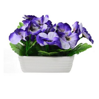ราคาพิเศษ!! แพนซี่สีม่วงในกระถางเหลี่ยม-ลอน อุปกรณ์จัดสวน