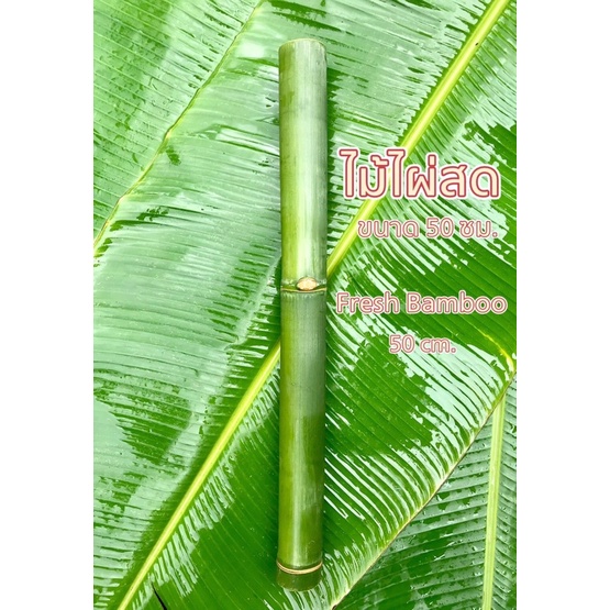 ไม้ไผ่ DIY - BAMBOO BONG