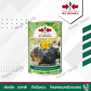 ฟักทอง ประกายทอง 100 กรัม เมล็ดฟักทอง ตราศรแดง