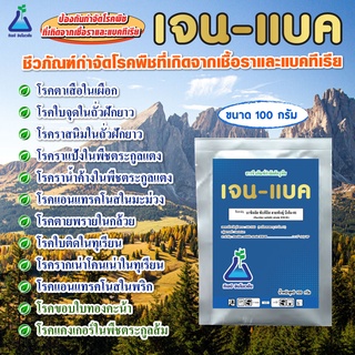 บาซิลลัส  ซับทิลิส (เจนแบค) ขนาด 100 กรัม สายพันธุ์ บีเอ็ม-01   Bacillus subtilis 1 x109