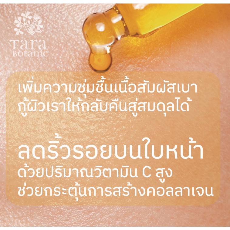 Rose Hip Oil Extra Virgin Cold-pressed น้ำมันโรสฮิปออย์ รูปที่ 7