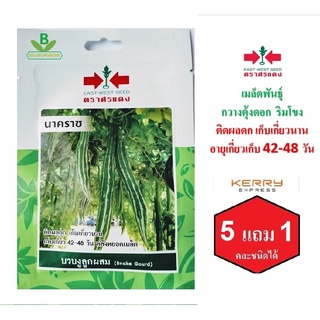 5 ฟรี 1 คละได้ เมล็ดพันธุ์ บวบงูลูกผสม นาคราช  ตรา ศรแดง เมล็ดผัก เมล็ดพันธุ์พืช  เมล็ดพืช  เมล็ดพันธุ์ผัก