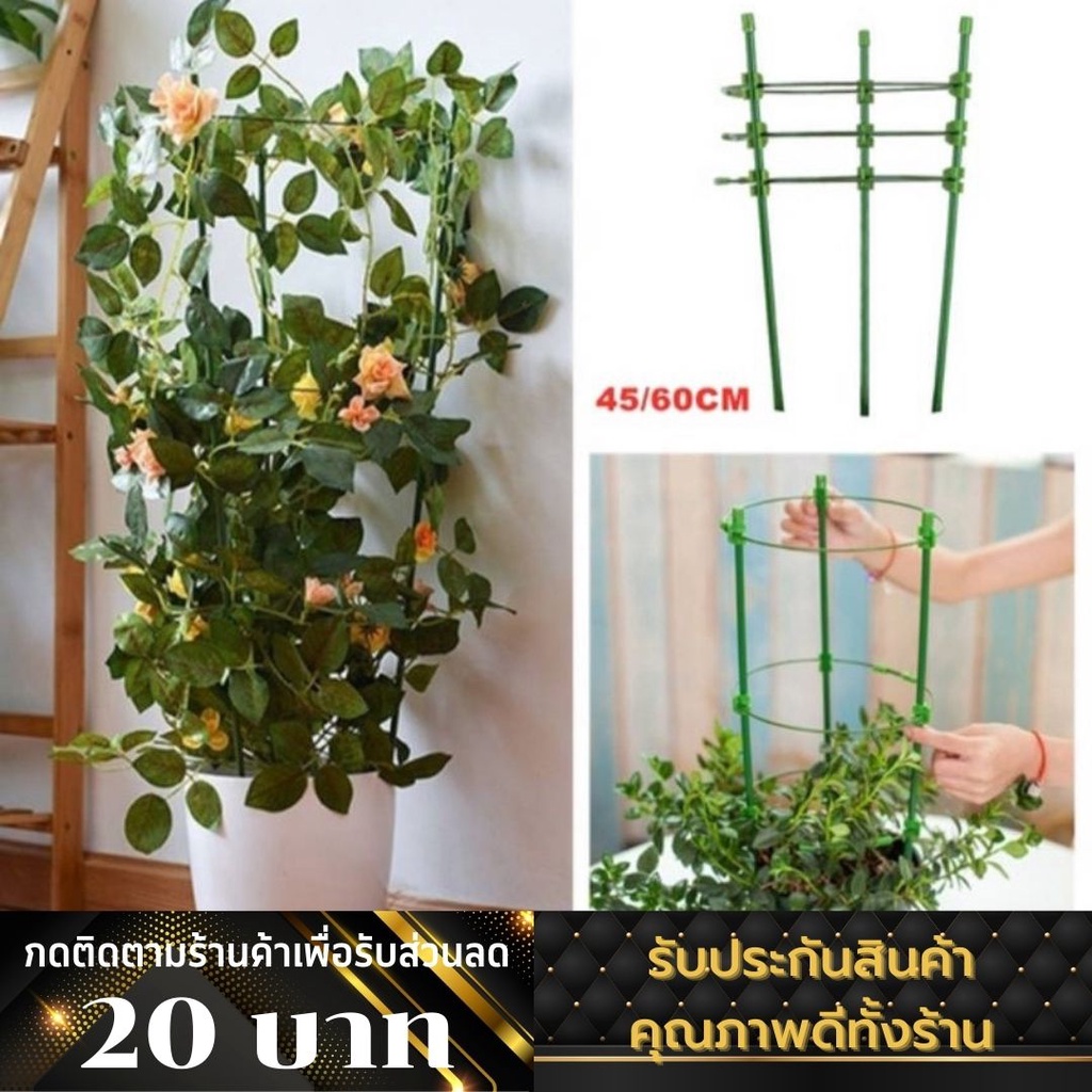 โครงเถาวัลย์ โครงไม้เลื้อย ไม้ค้ำต้นไม้ กรงพืช กรงต้นไม้ กรงไม้เลื้อย จัดทรงต้นไม้ อุปกรณสำหรับไม้เลื้อย