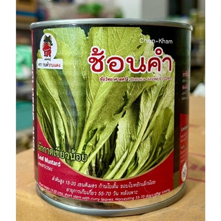 ผักกาดเขียวน้อย ช้อนคำ ผักกระป๋อง25 g. ลำต้นสูง 15-20 เซนติเมตร ก้านใบสั้น ขอบใบหยิกเล็กน้อย อายุการเก็บเกี่ยว 55-70 วัน