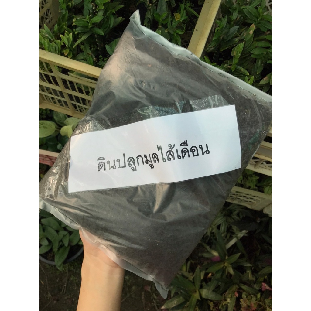 ดินปลูกมูลใส้เดือน  1กก   ถุงละ 29 บาท  ดินผสมมูลใส้เดือน พร้อมปลูก   คุณภาพสูง100% ทำให้ต้นไม้สวยงานออกดอกผลดีเยี่ยม