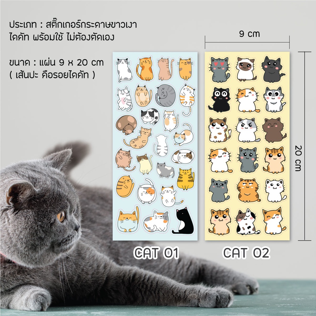 Sticker CAT สติ๊กเกอร์ น้องแมว 1 เซ็ท มี 6 แผ่น