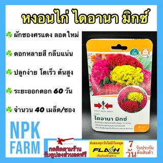 ผักซอง ศรแดง หงอนไก่ ไดอานา มิกซ์ จำนวน 40 เมล็ด เมล็ดพันธุ์ ลอตใหม่ ดอกหลายสี ต้นแข็งแรง ปลูกง่าย โตเร็ว ต้นสูง 20 ซม.