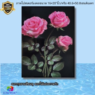 ภาพโปสเตอร์ ดอกกุหลาบสีชมพู ดอกไม้แห่งความรัก ขนาด16×20"นิ้ว