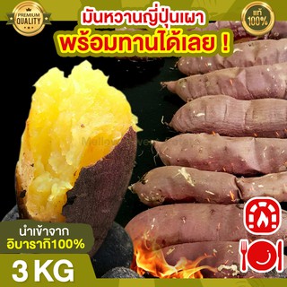 ส่งฟรี มันหวานญี่ปุ่น เบนิฮารุกะ 3kg เผาให้ ทานได้เลย 🔥นำเข้าจากญี่ปุ่นแท้ 100% มันญี่ปุ่นหวาน มันหวาน มันญี่ปุ่น