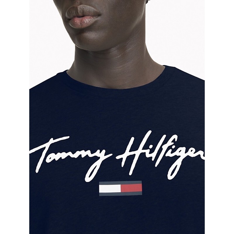 Tommy Hilfiger Logo T Shirts ของแท 100 Shopee Thailand