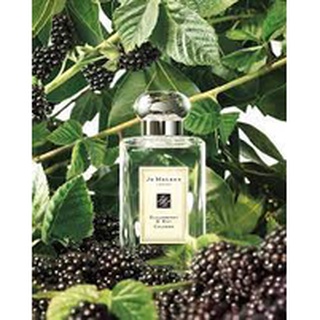 หัวน้ำหอม Blackberry &amp; Bay jo malone 006761