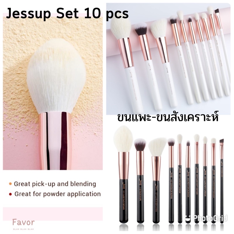 [JESSUP] Set แปรงแต่งหน้า Jessup Individual 10pcs Makeup Brush Set (T163 / T223)