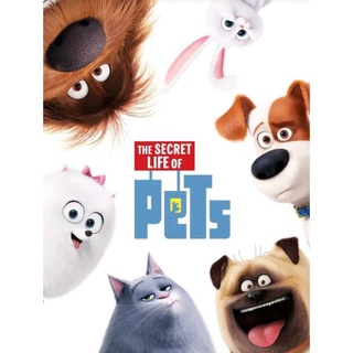 เรื่องลับแก๊งขนฟู ภาค 1 The Secret Life of Pets : 2016 #หนังการ์ตูน - คอมเมดี้ (ดูพากย์ไทยได้-ซับไทยได้)