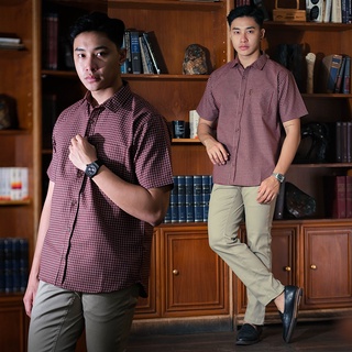[Import] เสื้อเชิ้ตแขนสั้น ผ้าออกซ์ฟอร์ด ลายสก๊อต สําหรับผู้ชาย