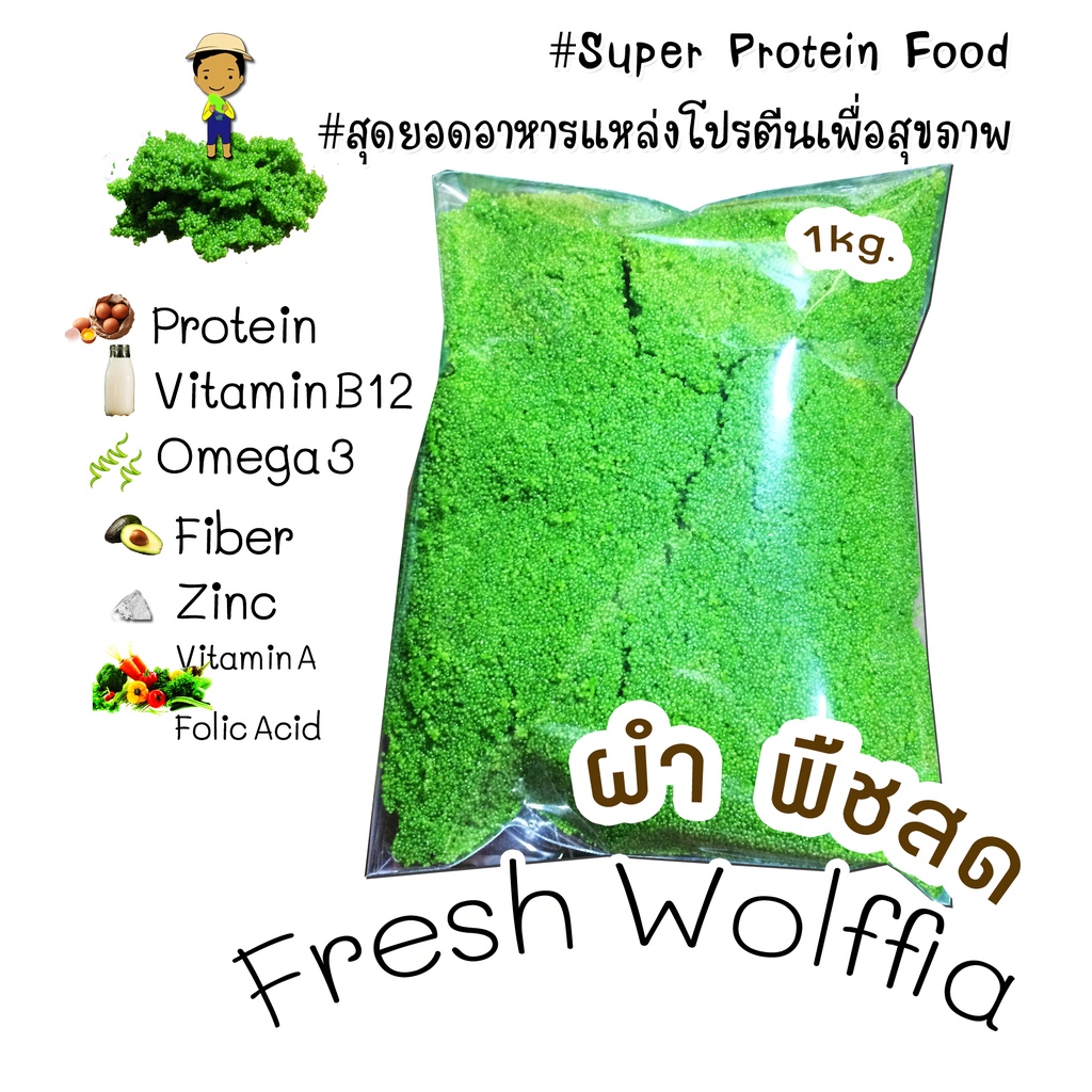 "ผำ ไข่น้ำ พืชผักสด 2แพ็ค1กิโลกรัม" - "#Plant based" - "#Wolffia" - "Organic Farm" - "Alternative Pr