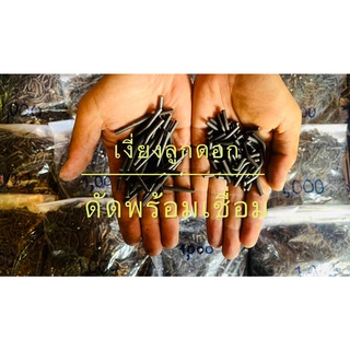 เงี่ยงเหล็ก สำหรับเชื่อมดอก ดัดองศา พร้อมใช้งาน (1 ถุง 50 ชิ…