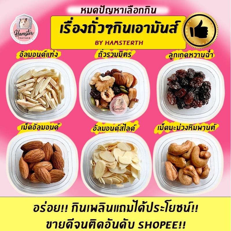 [Hamsterthailand]ถั่วรวม อัลมอนด์ วอลนัท ลูกเกด โกจิ สตอเบอรี่ ผลไม้ ขนมสำหรับแฮมสเตอร์ เม่นแคระ2/3