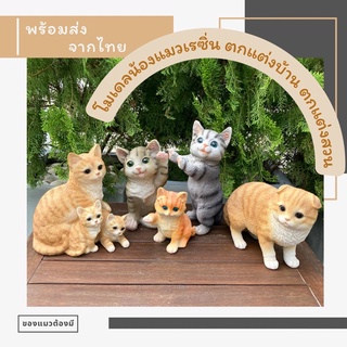 [พร้อมส่ง]🐈🪴โมเดลแมว โมเดลน้องแมว โมเดลแต่งบ้าน โมเดลแมวแต่งบ้าน โมเดลแมวแต่งสวน🌷