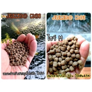 [20 KG] อาหารปลาคาร์ฟ JUMBO Koi (จัมโบ้ โค่ย) 20 กก. มี 3 สูตร คละสูตรได้
