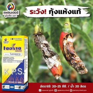 ยากำจัดเชื้อรา แอนแทรคโนส กุ้งแห้งพริก เจอราจ ขนาด500 cc. และ100 cc.