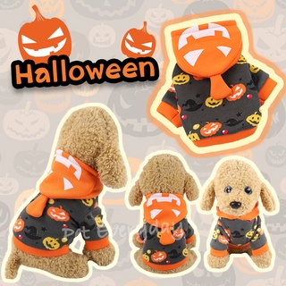 พร้อมส่ง🎃เสื้อสุนัขมีฮู้ด เสื้อแมว เสื้อฮาโลวีน ชุดสัตว์เลี้ยงแฟนซี Halloween ชุดใส่เทศกาล