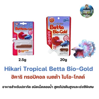 Hikari Tropical Betta Bio-Gold ฮิคาริ ทรอปิคอล เบตต้า ไบโอ-โกลด์ อาหารปลา ปลากัด เร่งสี พิเศษ