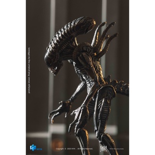 HIYA 1/18 EMA0005 : “AVPR” Xeno  Warrior Exquisite Mini Series: AVP