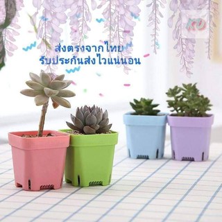 🌵🌷🌹กระถางต้นไม้พลาสติก(อย่างหนา) มี 2 ขนาด มีทั้งหมด 7 สี