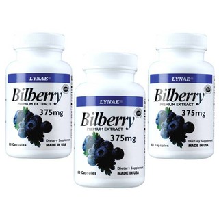 LYNAE Bilberry Premium Extract 375 mg 60 Capsule Vitamin USA ไลเน่60แคปซูล(3ขวด)