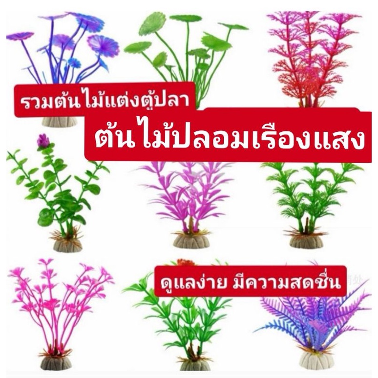 🐟🎄ต้นไม้แต่งตู้ปลา​ ดูแลง่าย​ ❤️