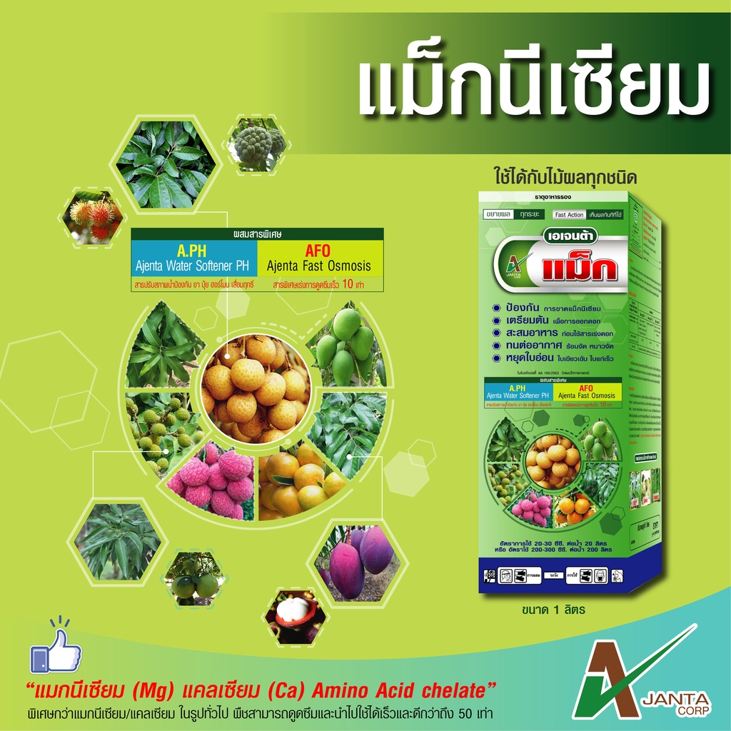 แม็กนีเซียม เอเจนต้า เร่งการเพสลาด ช่วยให้ใบแก่ ใบใหญ่ ใบเขียวเข้ม (ขนาด 1 ลิตร)