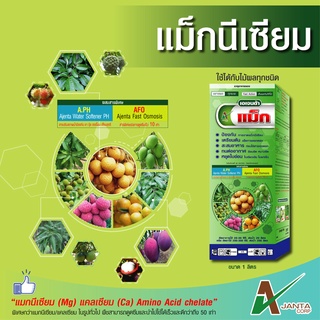 แม็กนีเซียม เอเจนต้า เร่งการเพสลาด ช่วยให้ใบแก่  ใบใหญ่  ใบเขียวเข้ม  (ขนาด 1 ลิตร)