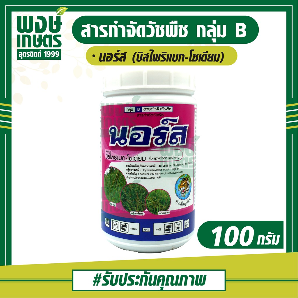 นอร์ส ( บิสไพริแบก-โซเดียม ) 100 กรัม สารกำจัดวัชพืช ใน นาข้าว หว่านแห้ง เช่น หญ้านกสีชมพู หญ้าขาวนก หญ้าดอกขาว