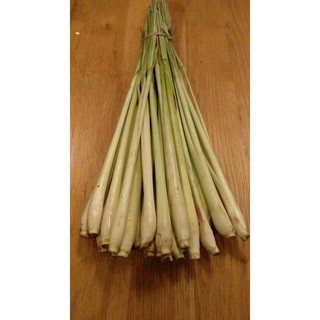 ต้นตะไคร้  ต้นกล้าตะไคร้ (1กก.49 บาท) ปลูกได้ ตัดทานได้เลย lemon grass  1kg  49  บาท