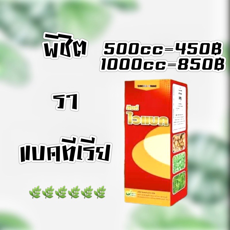 สิงห์ไวแบค หยุดเชื้อรา แบคทีเรีย 500 มิลลิลิตร 1 ลิตร #เชื้อรา