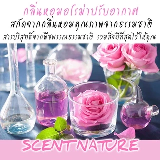 🔥หอมสดชื่น ก้านไม้หอมปรับอากาศ เซนต์ เนเจอร์ 50ml 🔥(Official SHOP)( ร่วมโปร ถ้าซื้อ 3 จะแถม 1 แผ่นหอม)