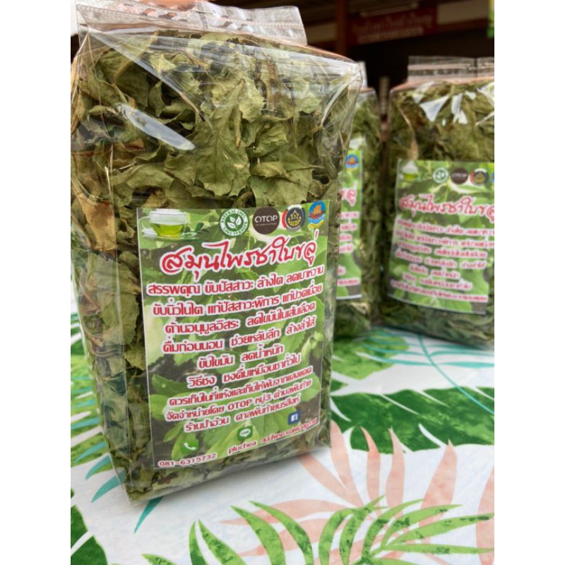 สมุนไพรพื้นบ้านชาใบขลู่