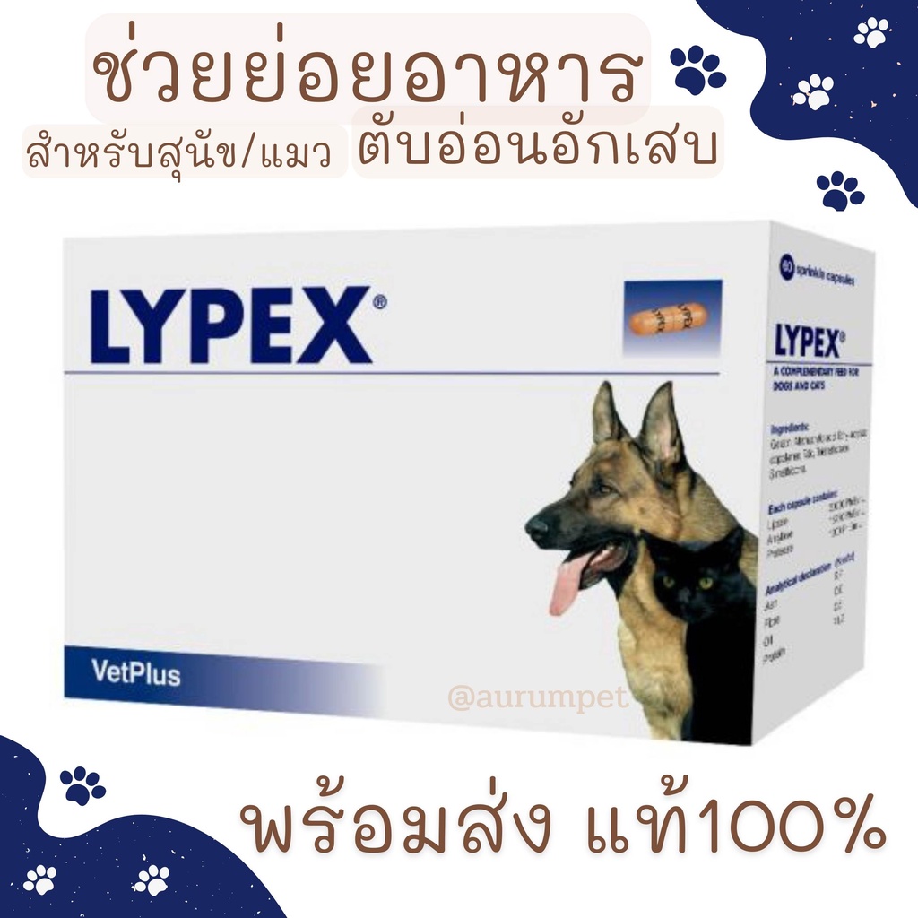 (พร้อมส่ง) Lypex ​สุนัขและแมว 60 แคปซูล Exp.01/2024