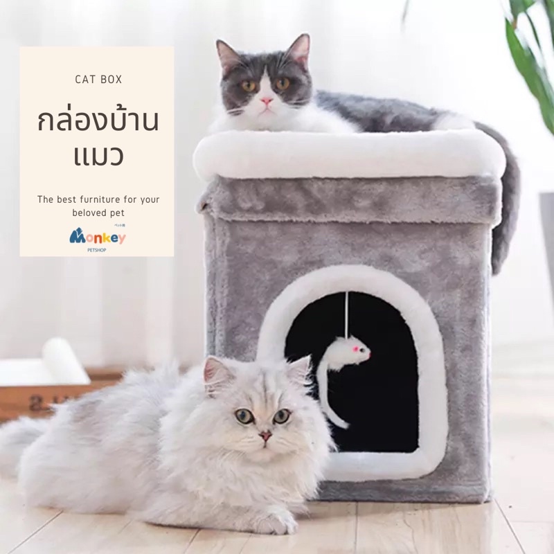 คอนโดแมวพร้อมส่ง บ้านแมว บ้านสุนัข กล่องแมว ขนาดใหญ่ 50x40x40 cm เก้าอี้ ที่นอนสัตว์เลี้ยง เบาะแมว MONKEY