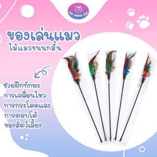 [ ABC cat ] ของเล่นแมว ไม้ล่อแมว ขนนกสั้น  ไม้แมว30ซม.