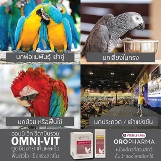 Oropharma Versele Laga / Muta vit / oro Digest / omni vit / Probi Zyme / Ferti vit / Calci Lux