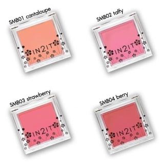 IN2IT Sheer Matte Blush บลัชออนเนื้อแมท อินทูอิท เชียร์แมท บลัช ขนาด 4g.