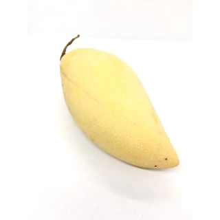 มะม่วงน้ำดอกไม้ / โชคอนันต์ / มหาชนก / แก้วขมิ้น 1กิโล หอมหวานอร่อย สด สะอาด